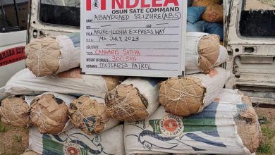 IMG 20230709 WA0025 1