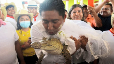 Screenshot 20230702 1835322