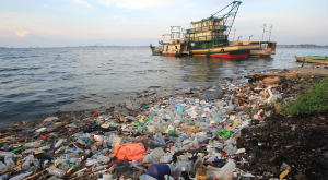 Plastic water bottles and bags thrown directly into the sea with no proper trash collection or recycling