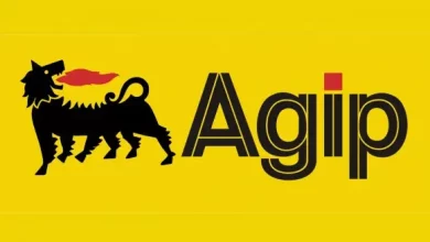 1569223644 34 nigerian agip oil company limited nigeria naoc
