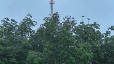 Flare Stack In Iwerekhan