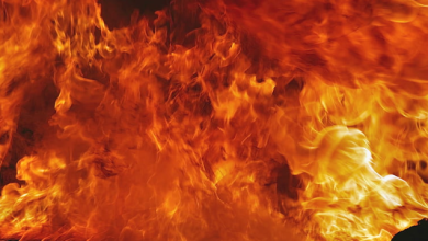 Screenshot 20231120 133255