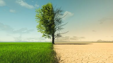 0311 638143054831378357