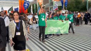 COP28 PROTESTERS PIX