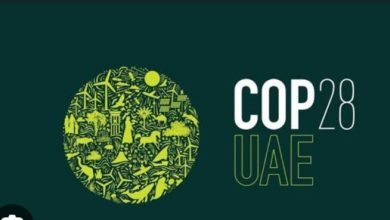 IMG 20231204 124941 750x369 1