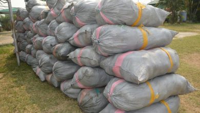 Screenshot 20240130 110506