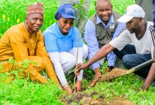 FIRSTBANK TREE PLANTING PIX2