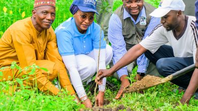 FIRSTBANK TREE PLANTING PIX2