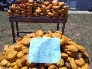IMG 20250514 WA0027