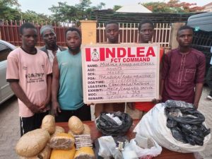 image 750x 6857c2a83bbe7 1