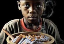 Screenshot 20250731 101449