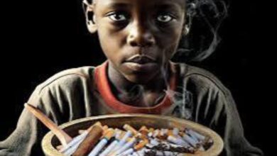 Screenshot 20250731 101449