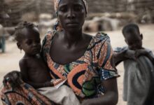 b1e0fd2a c061 4d21 b41c 9d2de329f897