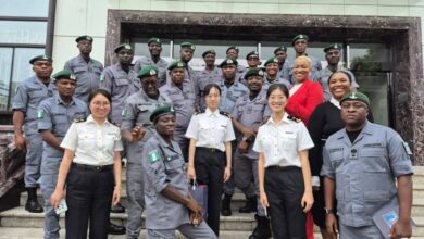 d543b59e 8542 4f75 b384 7451e23deb67