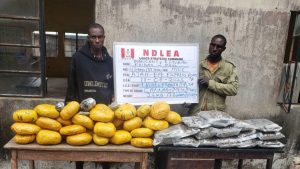 image 750x 6873861c6b38d