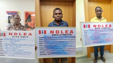 image 750x 6873862e086cf