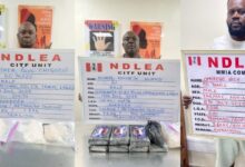 image 750x 687cb75a62aa5