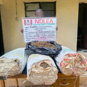 Untitled design 1 720x720 1