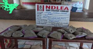 image 750x 689867435c8cc