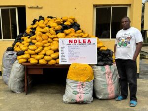 image 750x 6898676aa8cb8