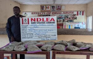 image 750x 689867735ac52