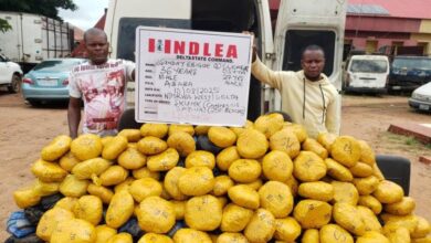 image 750x 68a1a03a3e0be