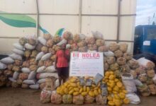 image 750x 68a47ff2b41fb