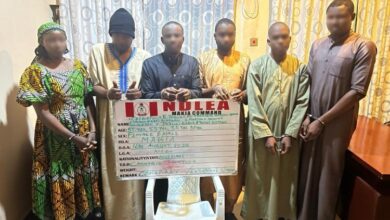 image 750x 68ac3b5ebe5b5