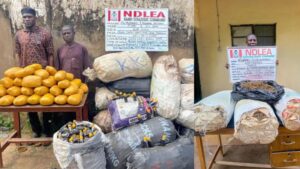 image 750x 68b38bac740fe