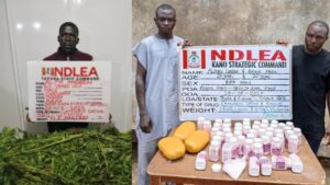 image 750x 68b38bce337a0