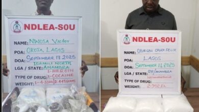 Screenshot 20250928 114348