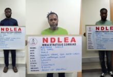 image 750x 68bd501b63026