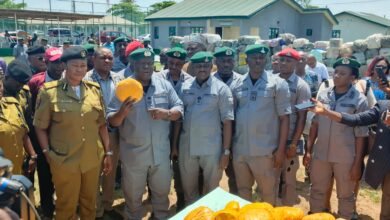 cbfa87a0 9232 43b8 8bf1 8c6c480f45be