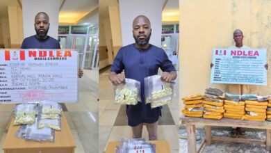 image 750x 68eb7f085c5b1