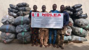 image 750x 68f4b829af361