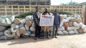 image 750x 68f4b82e2499b