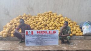 image 750x 68f4b83258ae5