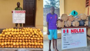 image 750x 68f4b837be8f3