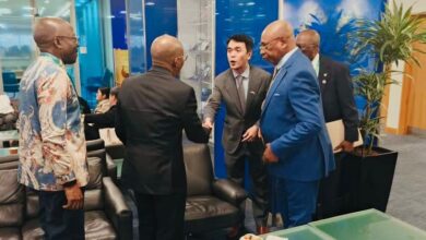 517cd352 2379 4806 a65f 7338fac47dbe