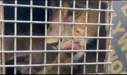 IMG 20251117 WA00012