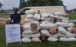 image 750x 69071fd03e5d2