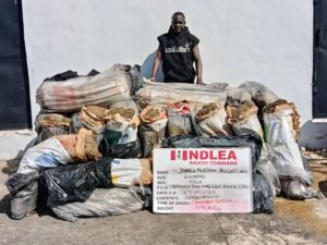 image 750x 69071fd5efb7d