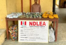 image 750x 690b30dae23ce