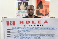 image 750x 691998a7d43c32