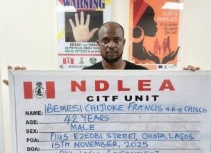 image 750x 691998a7d43c32