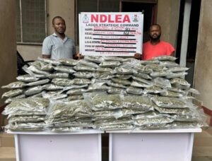 image 750x 691998ae5f593