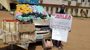 image 750x 6922d8735db3b