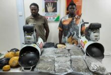 image 750x 6922d875d79aa