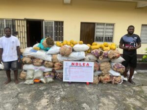 image 750x 6922d8787d877