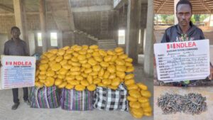 image 750x 692c0923ea599